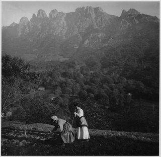 Donne mentre lavorano la terra a Sureggio