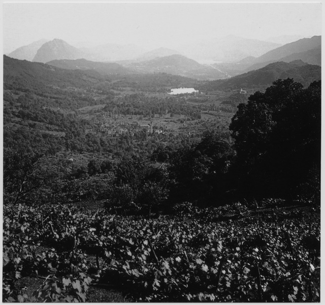 Veduta di Ponte Capriasca dal Convento di Bigorio