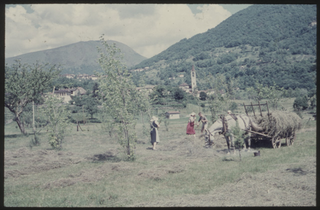 Fienagione a Ponte Capriasca
