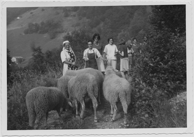 Donne con pecore sopra a un sentiero