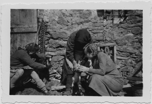 Donne che nutrono delle capre a Certara