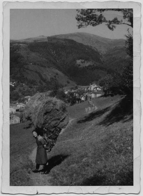 Donna mentre trasporta una gerla di strame