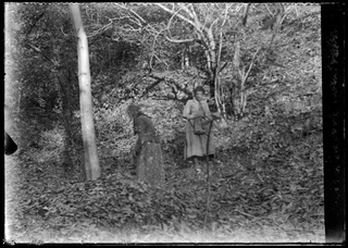 Donne durante la raccolta delle castagne