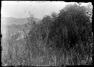 Bosco attorno a Davesco-Soragno