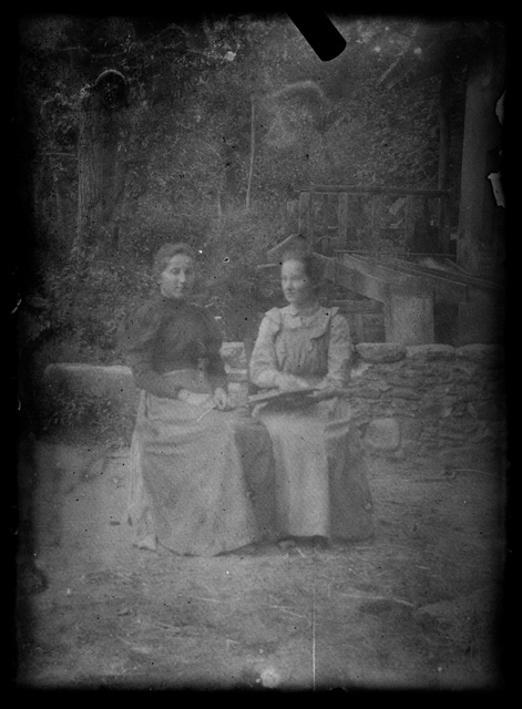 Giovani donne in posa in giardino