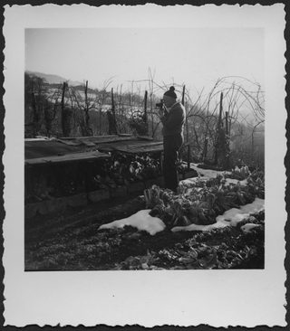 Fotografia di uomo nell'orto