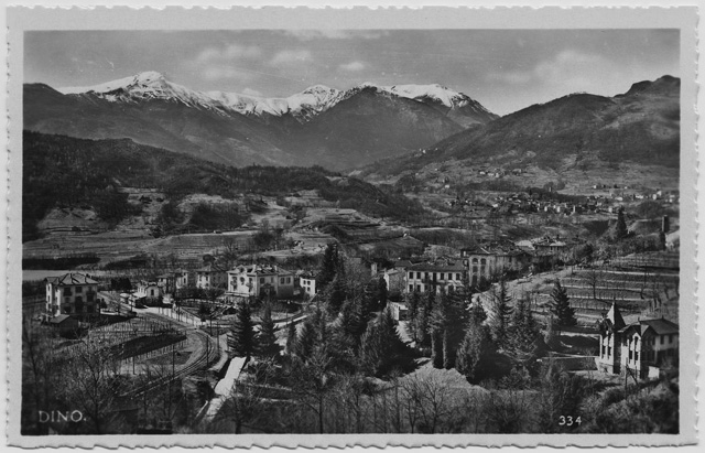 Cartolina di Dino