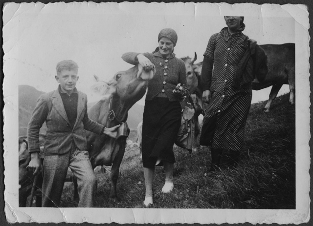 Gruppetto con mucche al pascolo