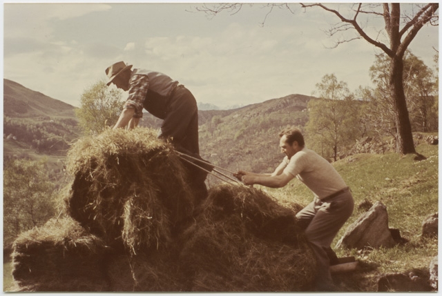 Uomini che raccolgono del fieno a Cagiallo