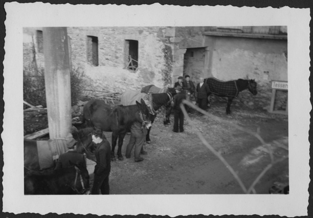 Preparazione per la benedizione dei cavalli