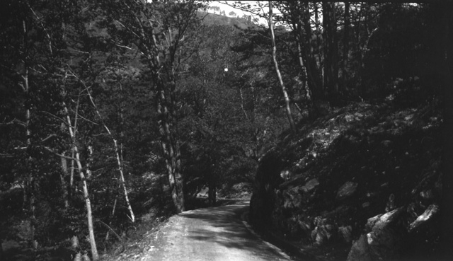 Strada per Gola di Lago