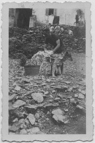 Carlo Guerra mentre lava il cane in dotazione alle guardie di confine