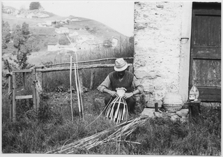 Cestaio mentre intreccia una gerla ai monti di Brena