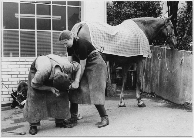 Maniscalco al lavoro