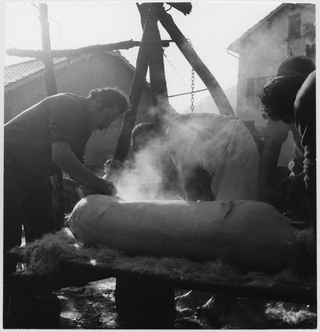 Mazza del maiale a Isone