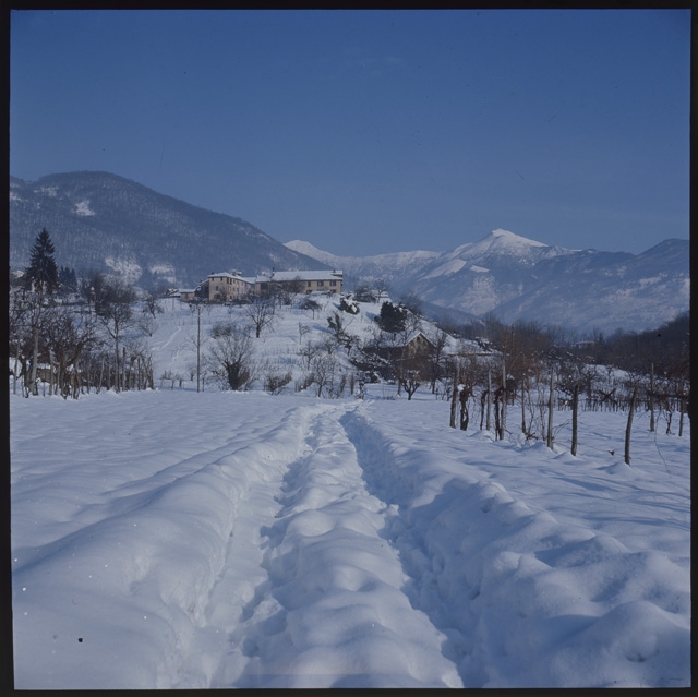 Veduta della campagna di Sarone innevata