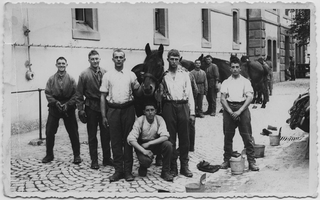 Miltari mentre strigliano dei cavalli