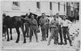 Militari mentre strigliano dei cavalli