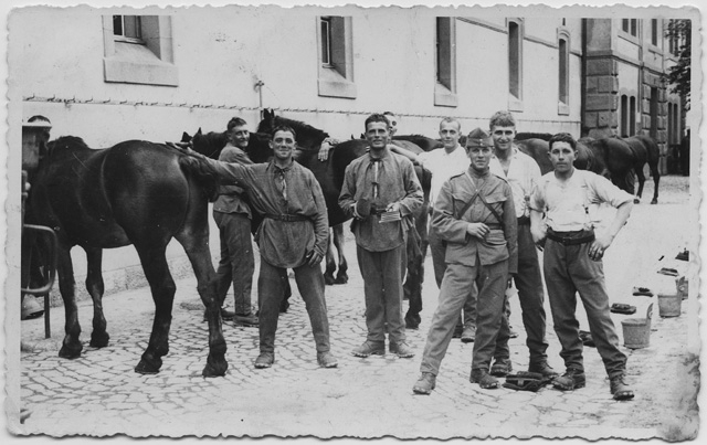 Militari mentre strigliano dei cavalli