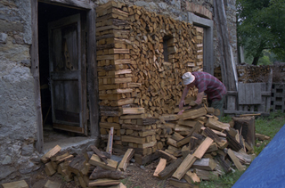 Falegname mentre accatasta della legna