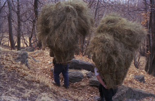 Coppia mentre trasporta un carico di fieno ai monti dei Nobili