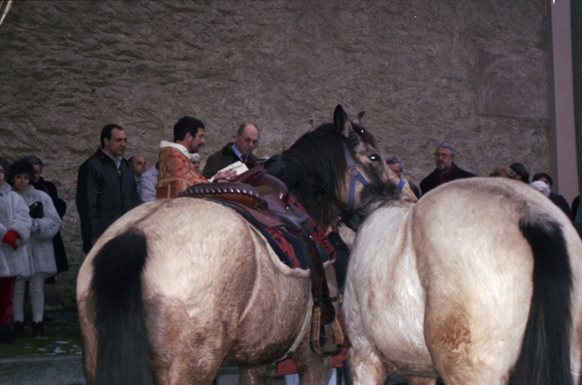 Benedizione dei cavalli a Sala Capriasca
