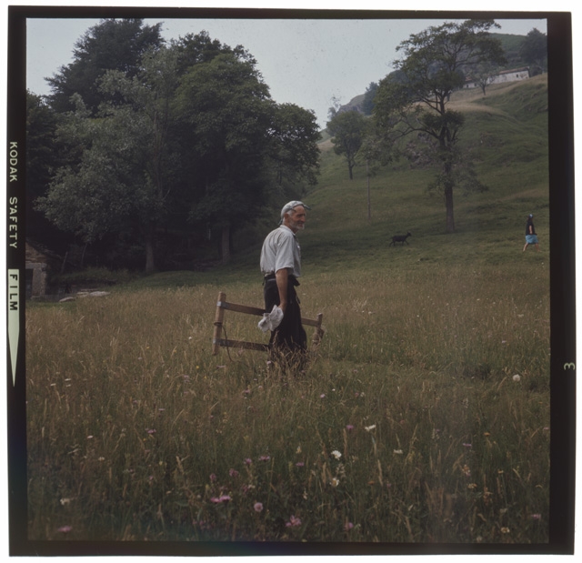 Uomo in un prato a (?)