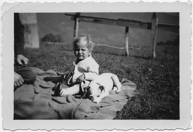 Bambina seduta sopra a un prato con un cane