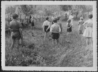 Lezione di ginnastica all'aperto