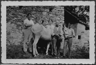 Gruppo in posa con mulo