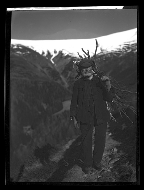 Uomo anziano ("il Togn") con fascio di rami e falcetto su di un sentiero