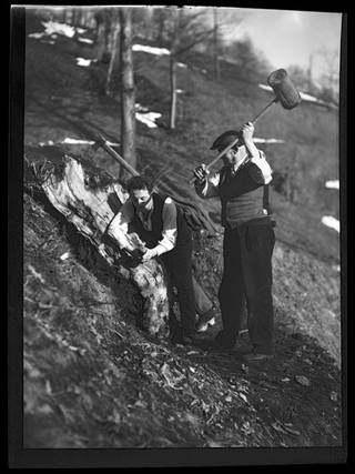 Uomini durante i lavori di fenditura di un ceppo