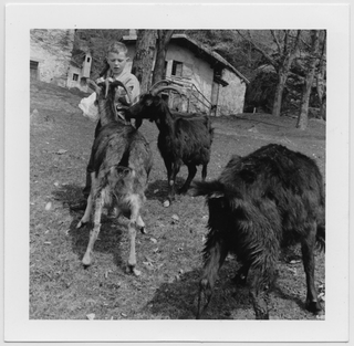 Bambino con capre ai monti di Condra