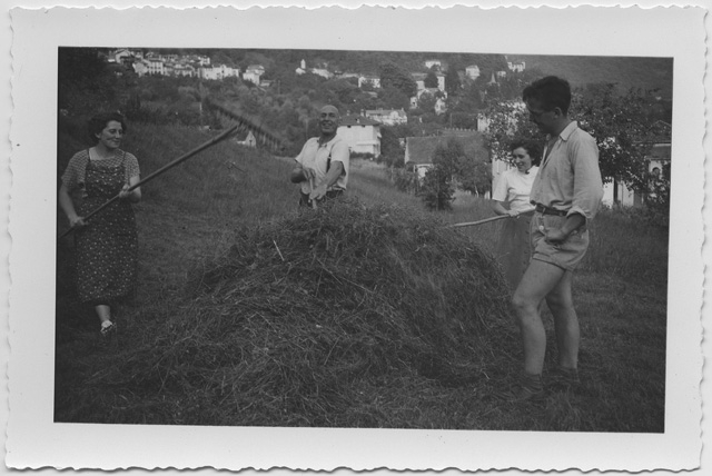 Fienagione a Tesserete