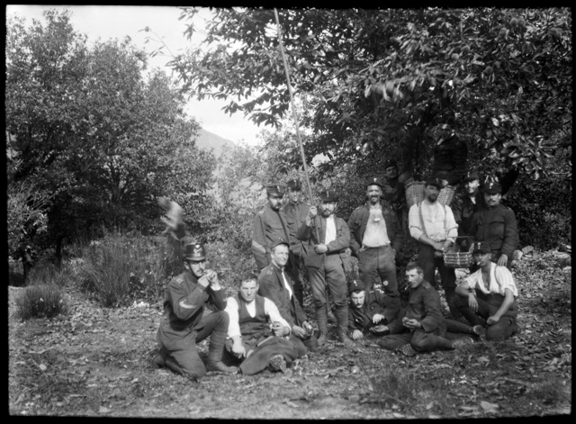 Militari in posa sotto a un castagno