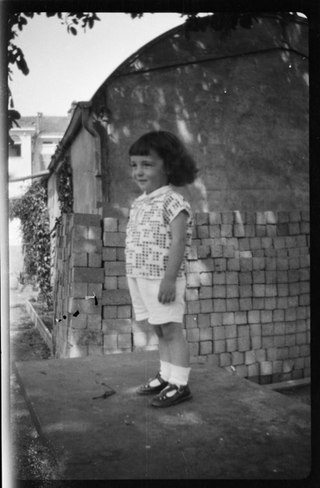 Ritratto di Vittorino Besomi