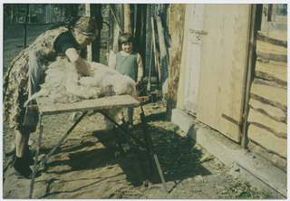 Sylva De Luigi mentre tosa una pecora a Campestro con Veronika Berner