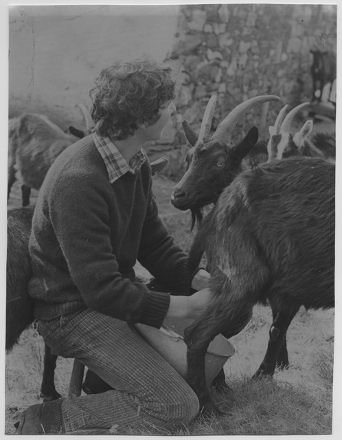 Daniele Rovelli mentre munge una capra ai monti di Fornèra