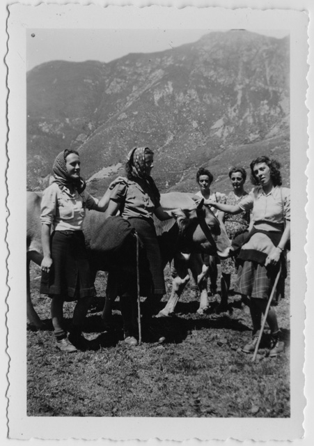 Ragazze in posa con delle mucche sul Camoghé