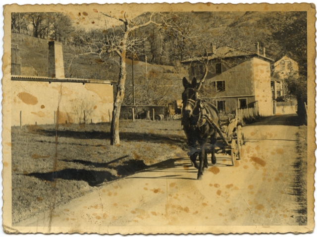 Carro trainato da un cavallo