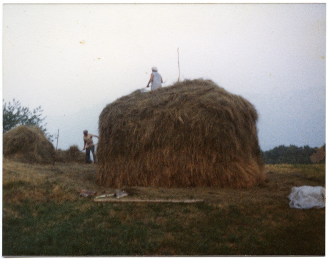 Covone di fieno sui monti di Condra