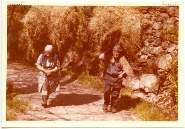 Trasporto di un cargansc di fieno