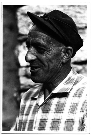 Ritratto di Plinio Storni