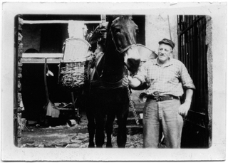 Antonio Storni con il mulo