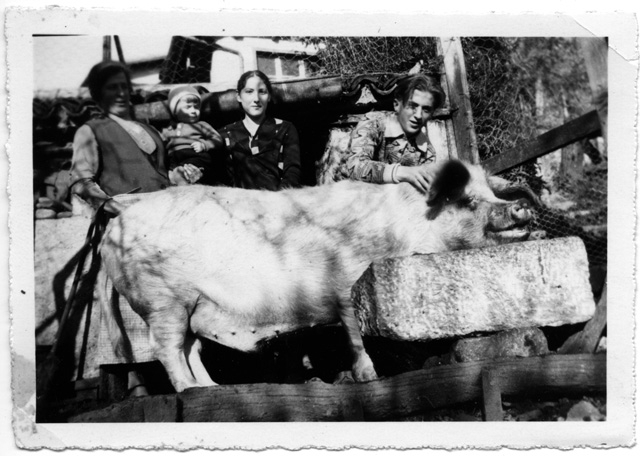 Gruppo di persone con una scrofa