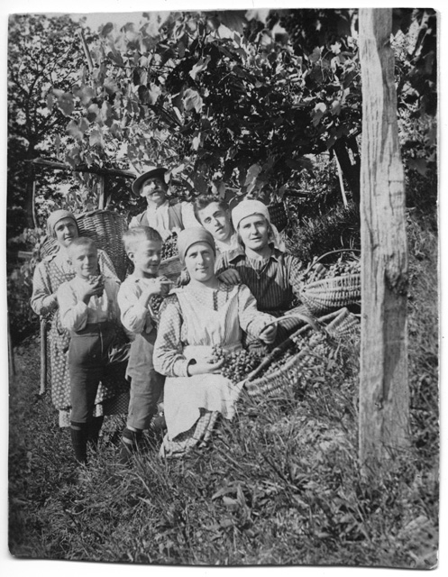 Famiglia Menghetti in posa durante la vendemmia